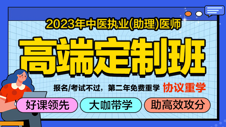 2023中医执业/助理医师-高效定制班（线上）-协议班